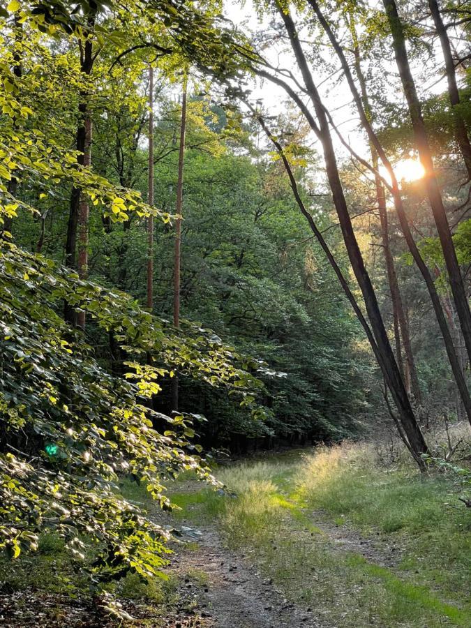 Ferienwohnung Unter Den Linden Halbe Eksteriør bilde